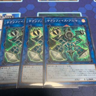 サクリファイス・アニマ