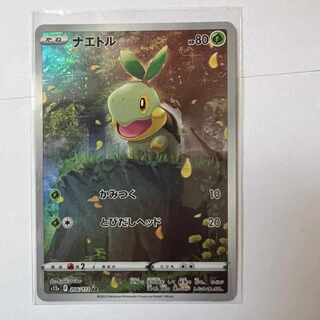 ナエトルAR アートレア s12a 206/172 VSTARユニバース