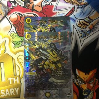 フラウム・ゴルギーニ VR 1/74