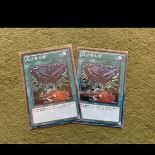 遊戯王　忍び寄る闇　スーパー2枚