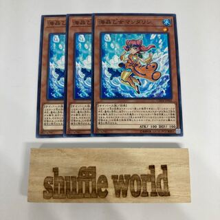 海晶乙女マンダリン 1359