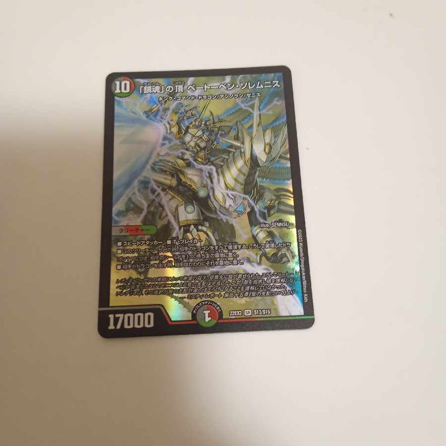 The Peak of "Requiem" Beethoven Solemnis SR S13/S15