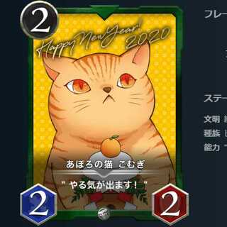 Apolo's cat Komugi 1 sheet