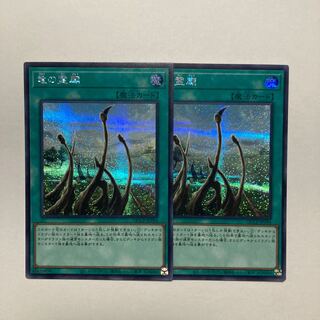 Dragon Shrine Secret Rare QCCP-JP194
