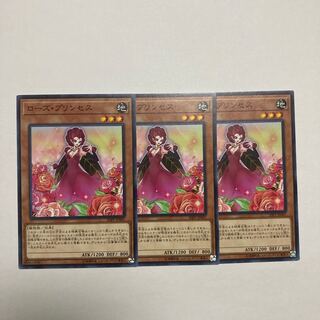 Rose Princess Normal JP007