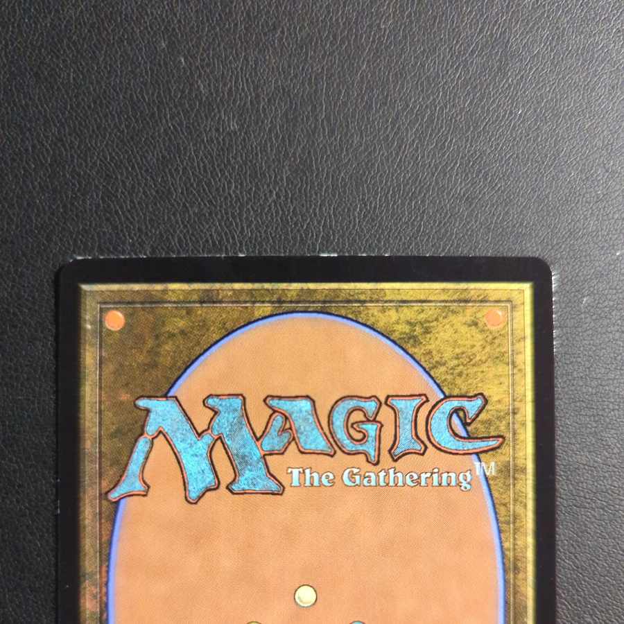 Merfolk Trickster/Merfolk Trickster