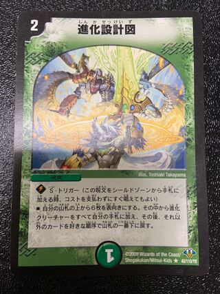 evolutionary blueprint