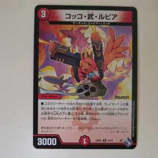 Cocco Bu Lupia R 19/74