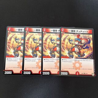 First team Tutu Squirrel C 63/84