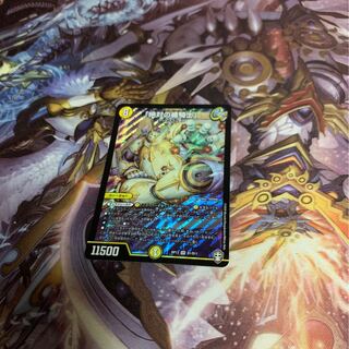 絶対の楯騎士/アブソリュートシールドナイト