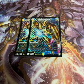 雷光の聖騎士2枚