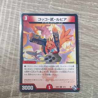 Cocco Bu Lupia R 19/74