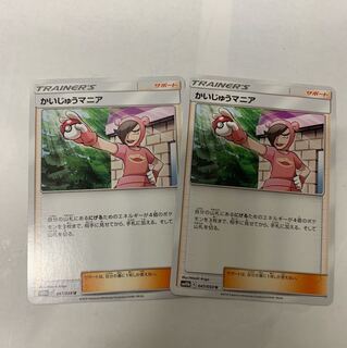 かいじゅうマニア2枚セット