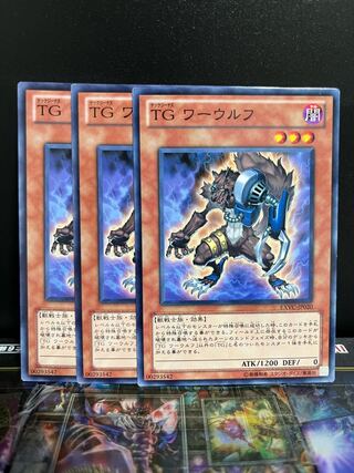 Yu-Gi-Oh Studio 4821 T.G. Warwolf Normal JP020
