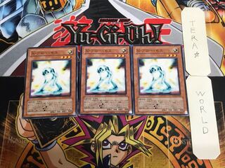 N・グロー・モス 1 ノーマル 3枚セット てら