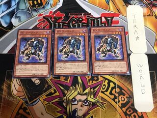 T.G. Warwolf 2 Normal, set of 3 Tera.