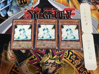 N・グロー・モス STON 2 ノーマル  3枚セット てら