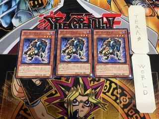 T.G. Warwolf EXVC 5 Normal, set of 3 Tera.