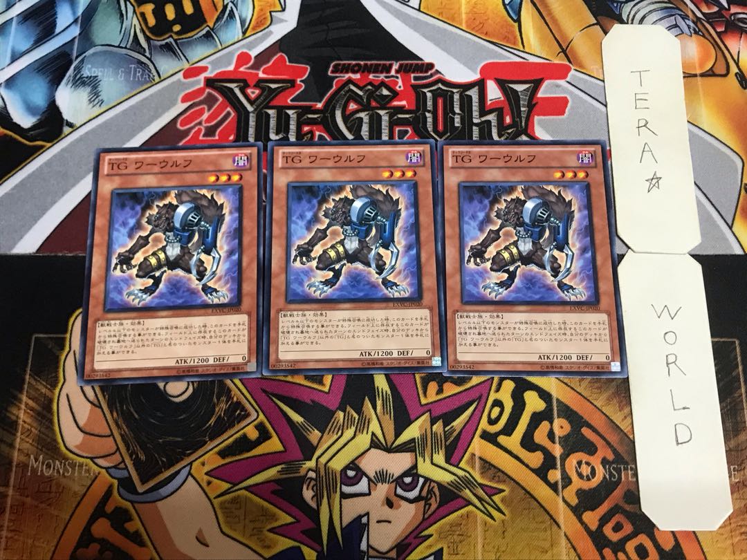 T.G. Warwolf EXVC 6 Normal, set of 3 Tera.