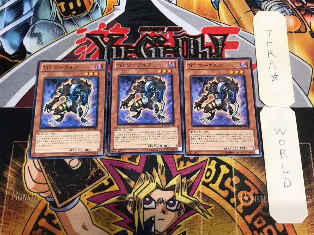 T.G. Warwolf EXVC 7 Normal, set of 3 Tera.