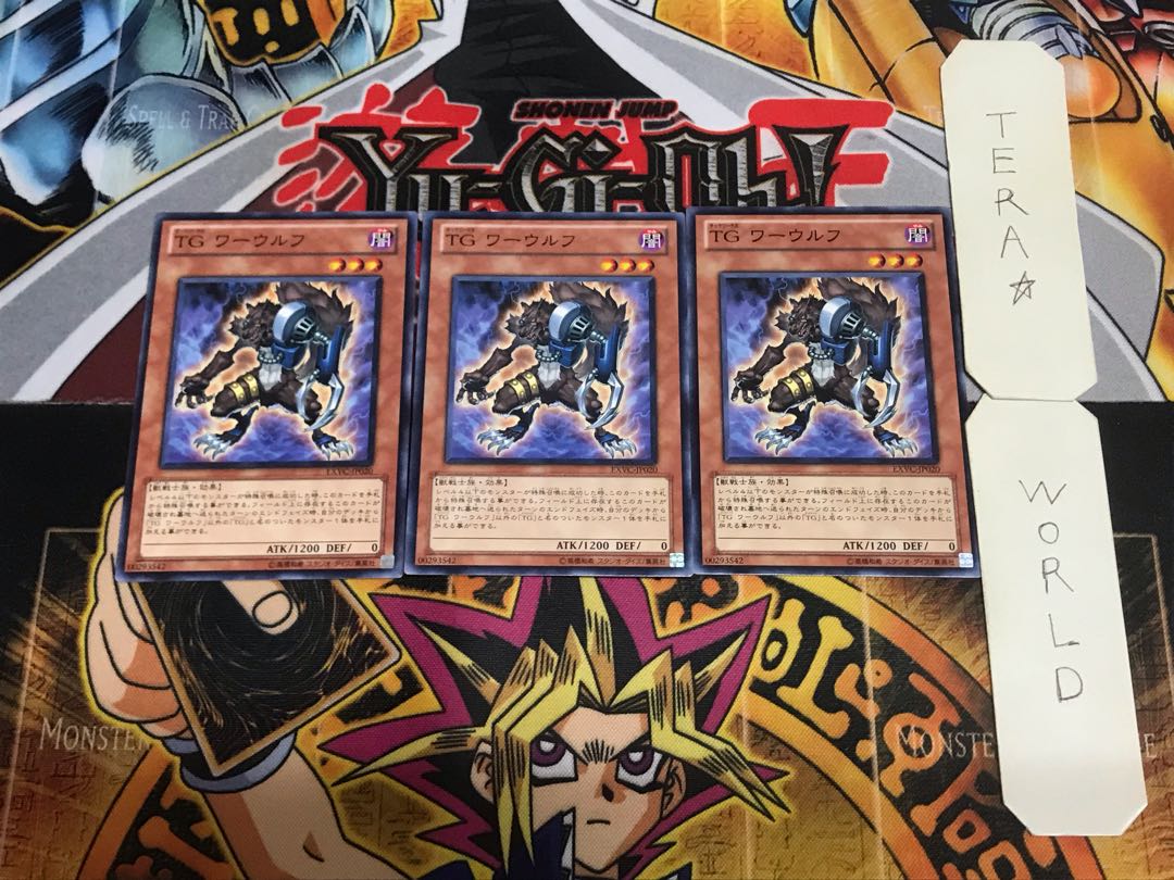 T.G. Warwolf EXVC 9 Normal, set of 3 Tera.