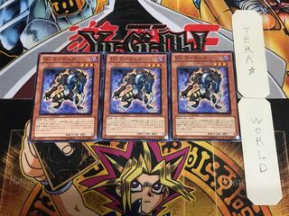 T.G. Warwolf EXVC 9 Normal, set of 3 Tera.