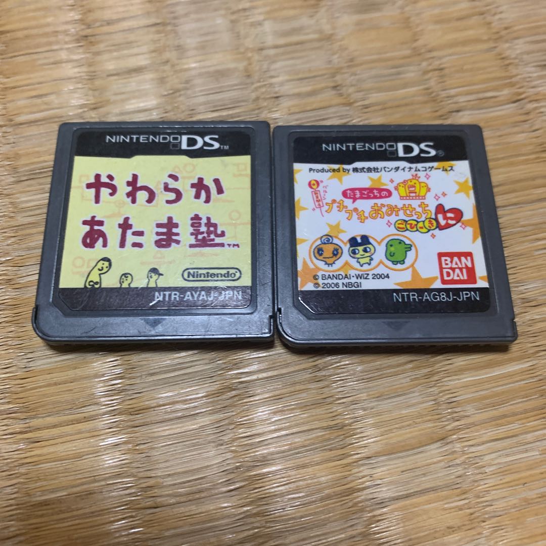 DSのカセット(2本セット)