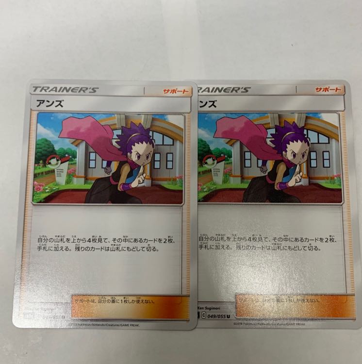 アンズ 2枚セット 2枚