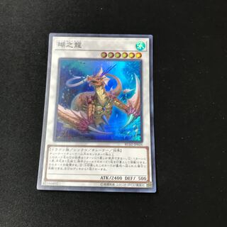 Coral Dragon Super Rare JP026