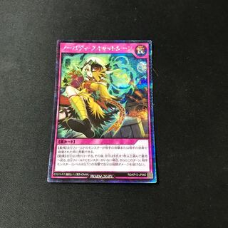 ノーバディ・スキャッシーフ　ウルトラ