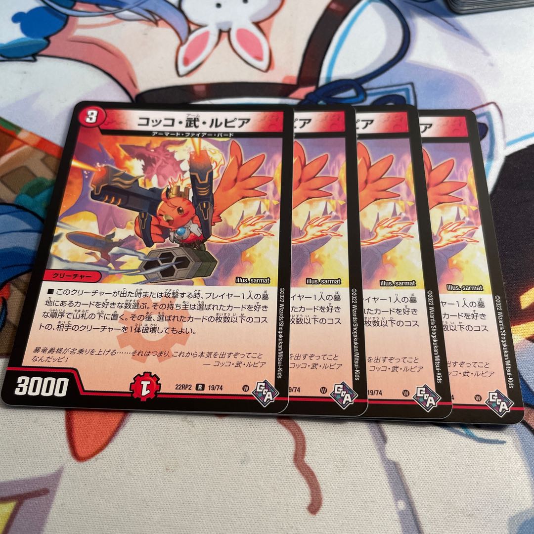 Cocco Bu Lupia R 19/74