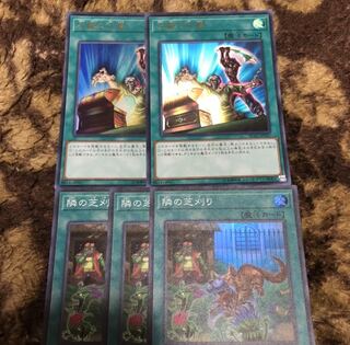 左腕の代償　隣の芝刈り　ウルトラ　スーパーレア