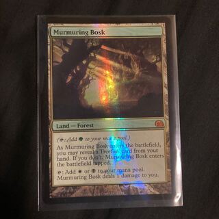 MTG   つぶやき林 Foil マジックザギャザリング