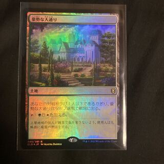 Bountiful Promenade Foil Rare 81/254