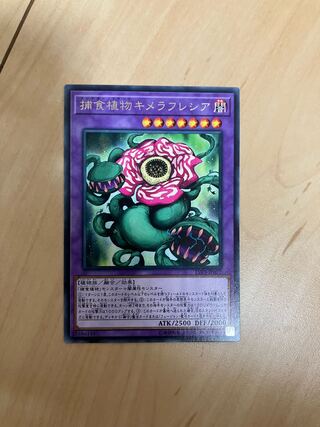 Predaplant Chimerafflesia Rare JP072
