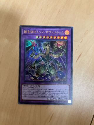 Predaplant Triphyoverutum Ultra Rare JP045