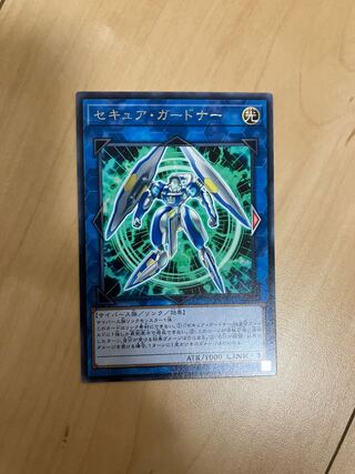 Secure Gardna Rare JP043