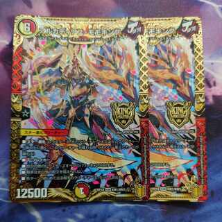 アルカディアス・モモキング KGM KM1/KM3