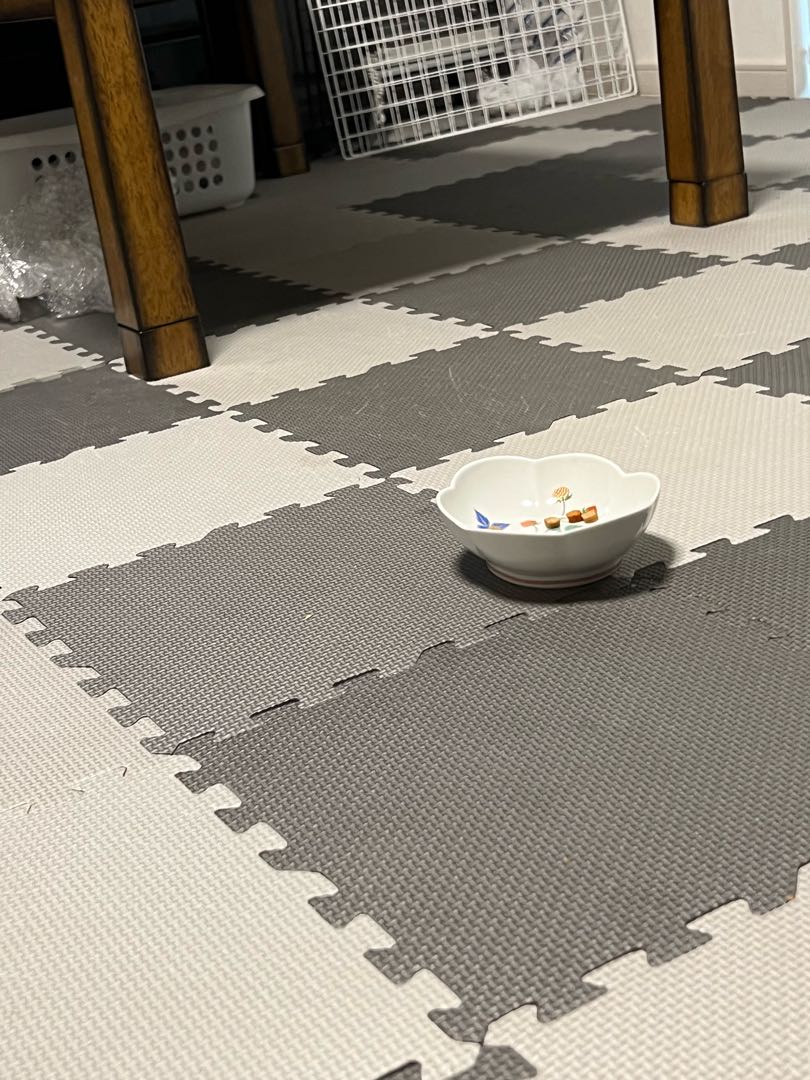 ポケモンカード アド確 アド確定 福袋