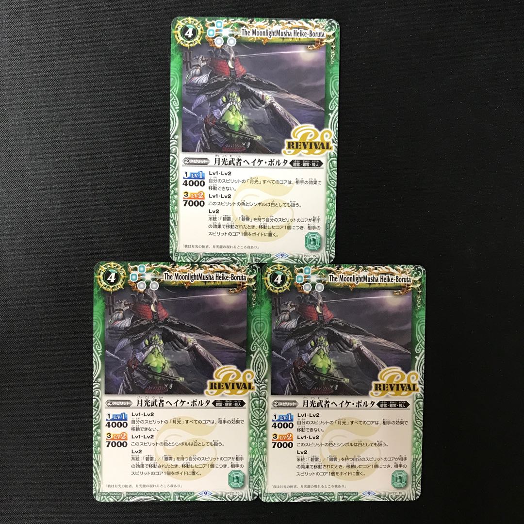 Moonlight warrior Heike Borg 2023