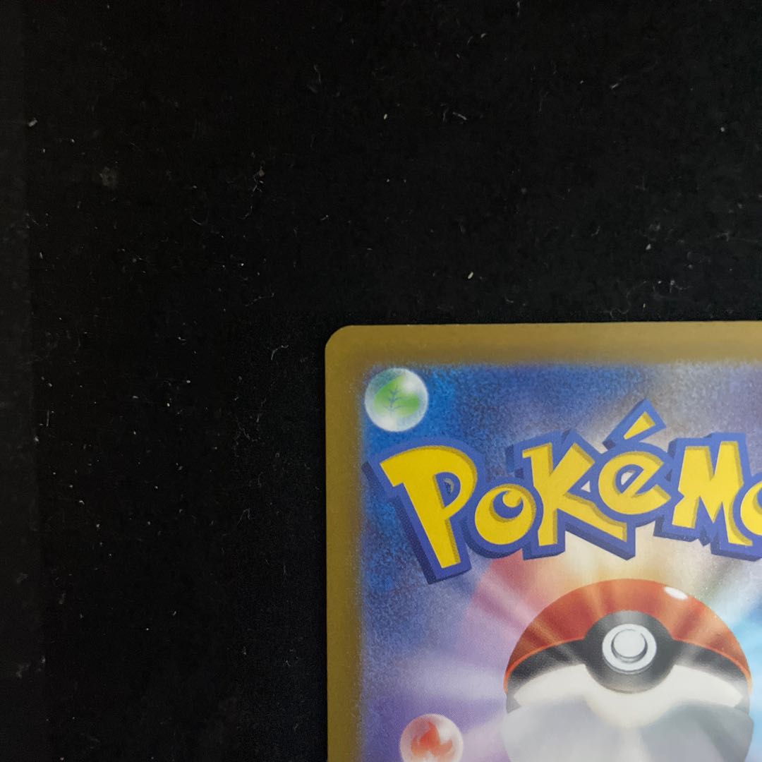 Price reduced until the end of this week [Beautiful] SAGAIKEN SR