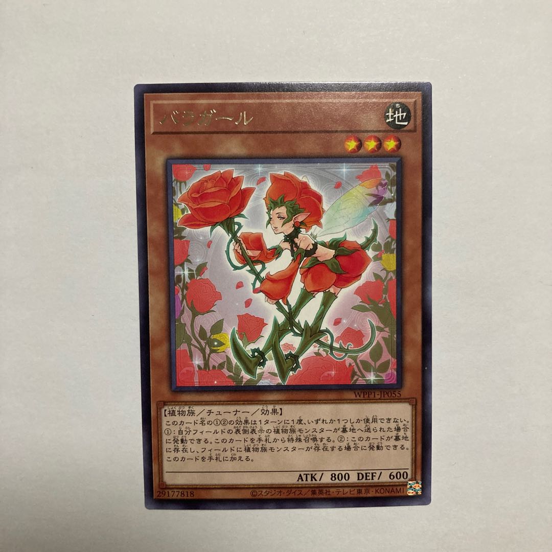 Rose Girl rare JP055