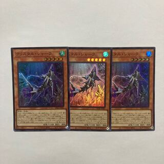 Kus Squirrel Tull Shark Super Rare JP002