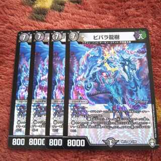 ビバラドランジュ ビバラ龍樹