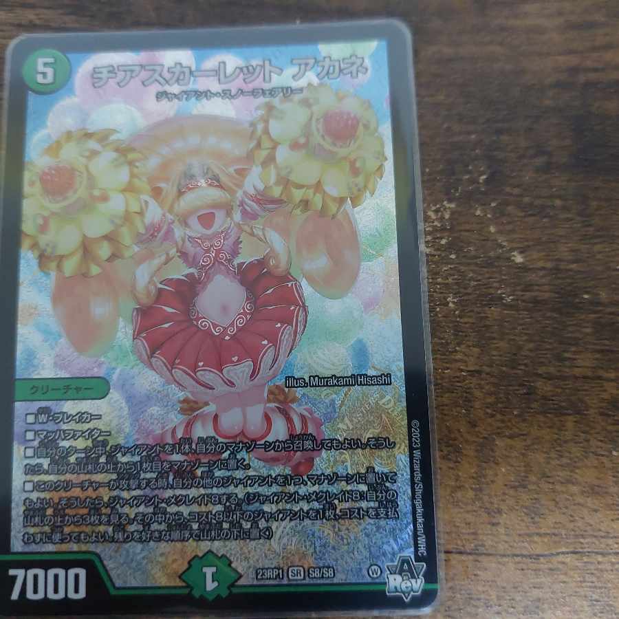 Cheer Scarlet Whitney SR S8/S8