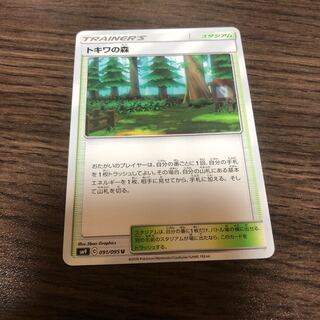 トキワの森 1枚