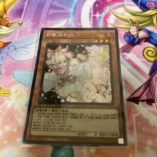 灰流うらら シークレット