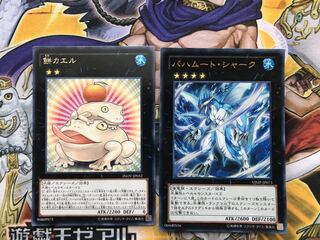 バハムートシャーク 餅カエル セット