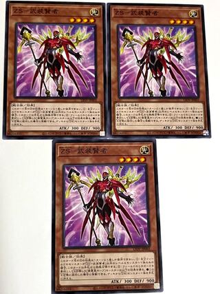 ZS-武装賢者【ノーマル 】JP002