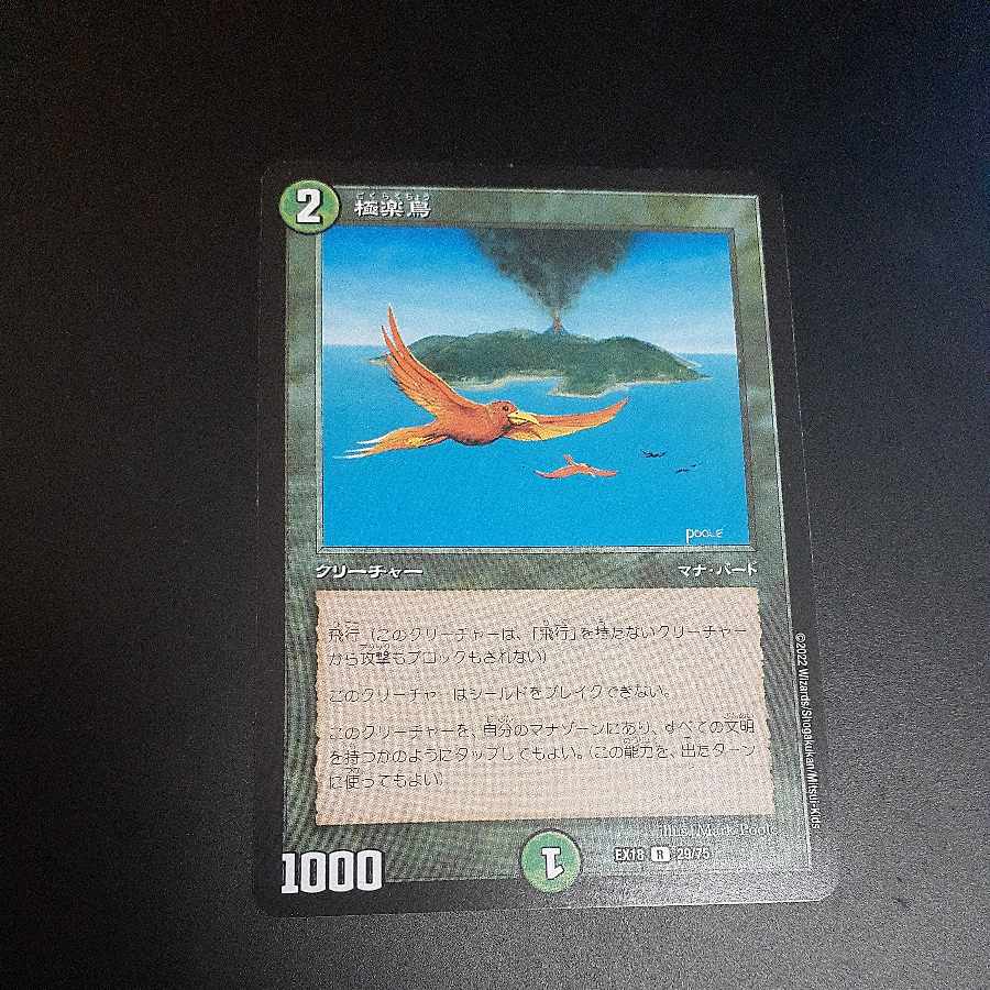 Birds of Paradise R 29/75